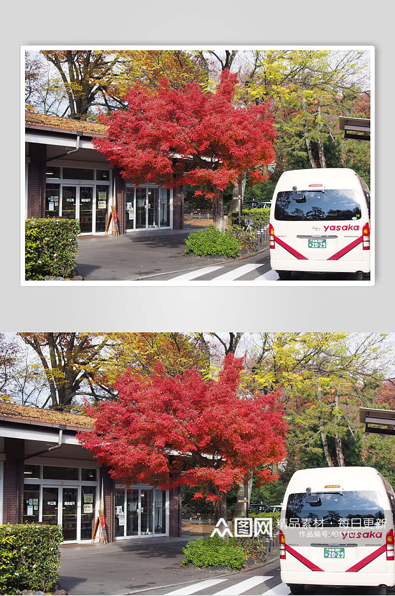 高端时尚汽车树木挂牌日式庭院图片素材
