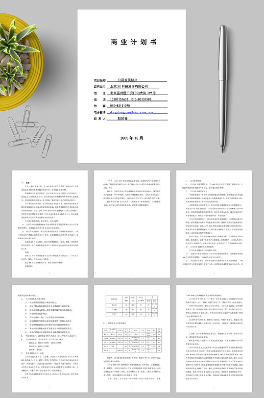 北京XX科技发展有限公司融资商业计划WORD