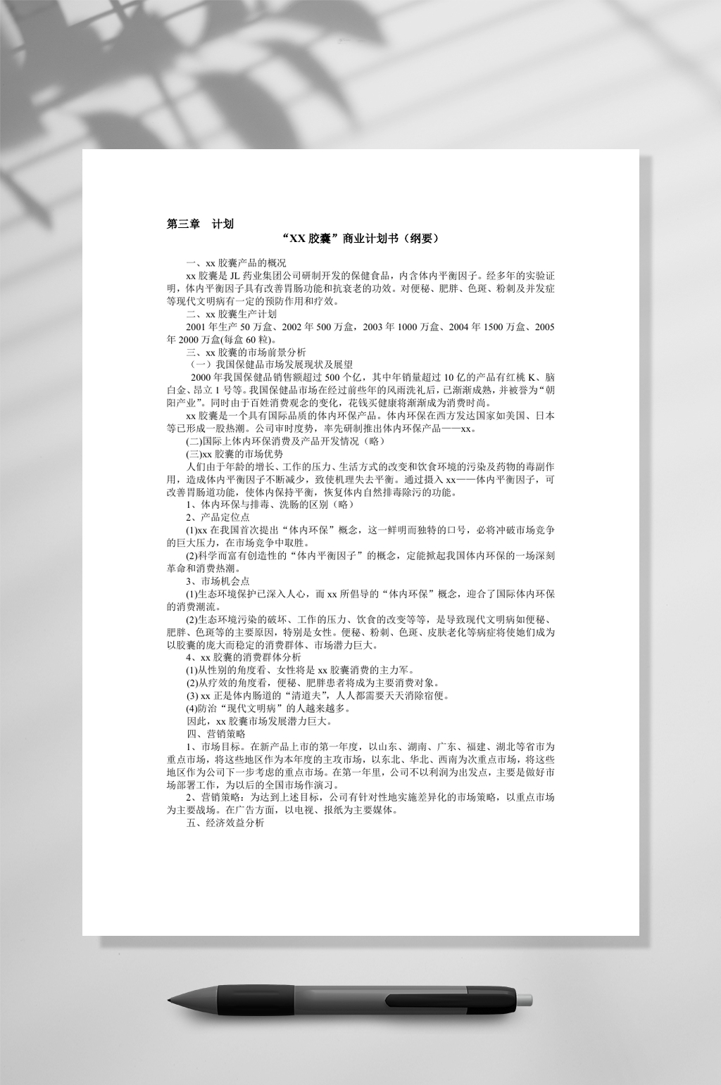 XX胶囊商业计划书纲要WORD素材