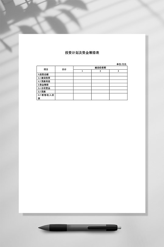 投資計(jì)劃及資金籌措表WORD