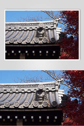 蓝红房顶清新创意高端日式庭院图片