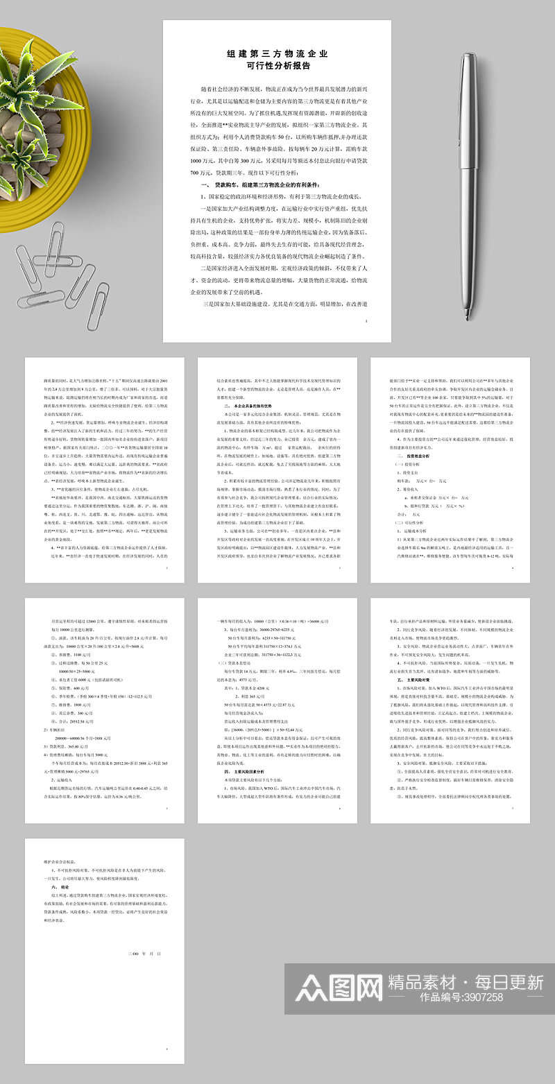 组建第三方物流企业可行性分析报告WORD素材