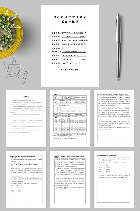 郑州市科技攻关计划WORD