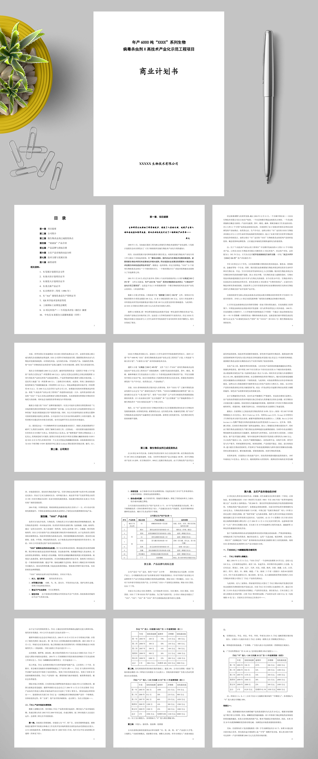 年产六千吨杀虫剂项目商业计划书WORD素材