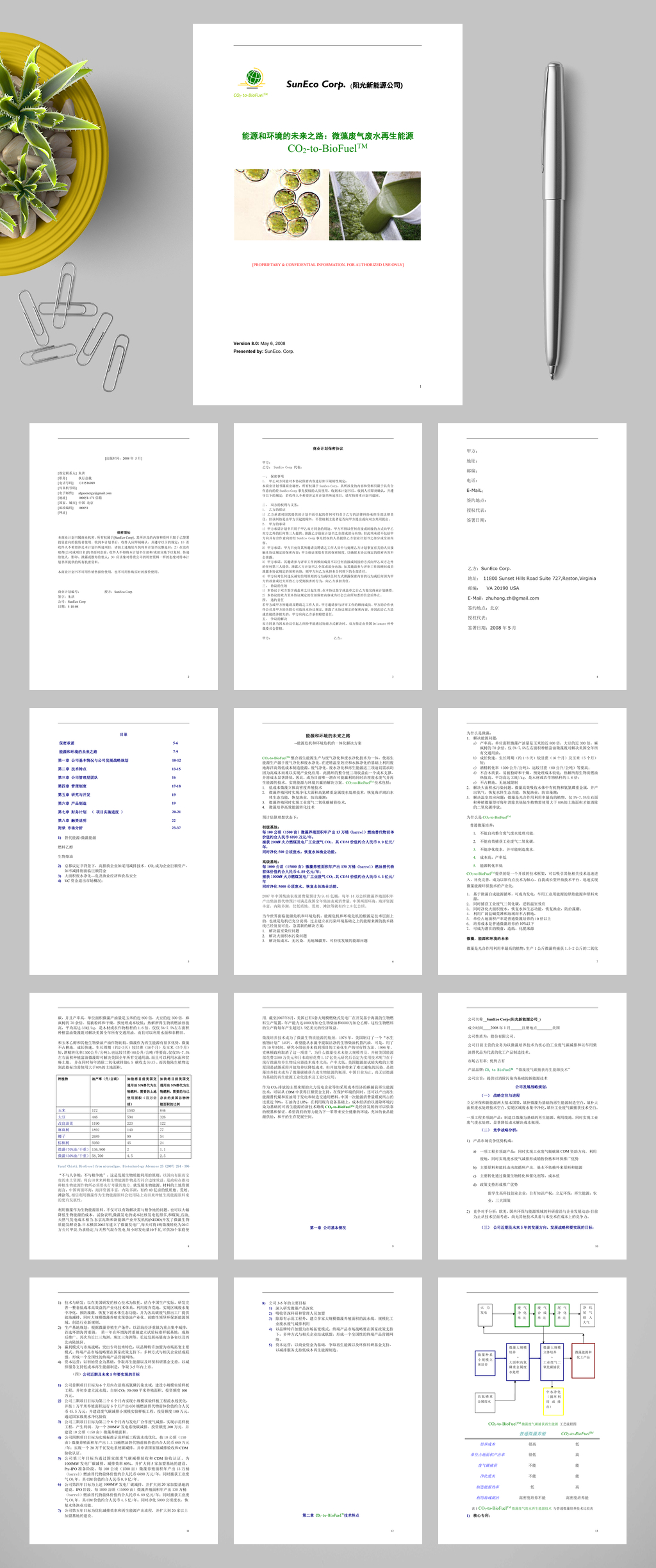 阳光新能源公司创业计划书WORD素材