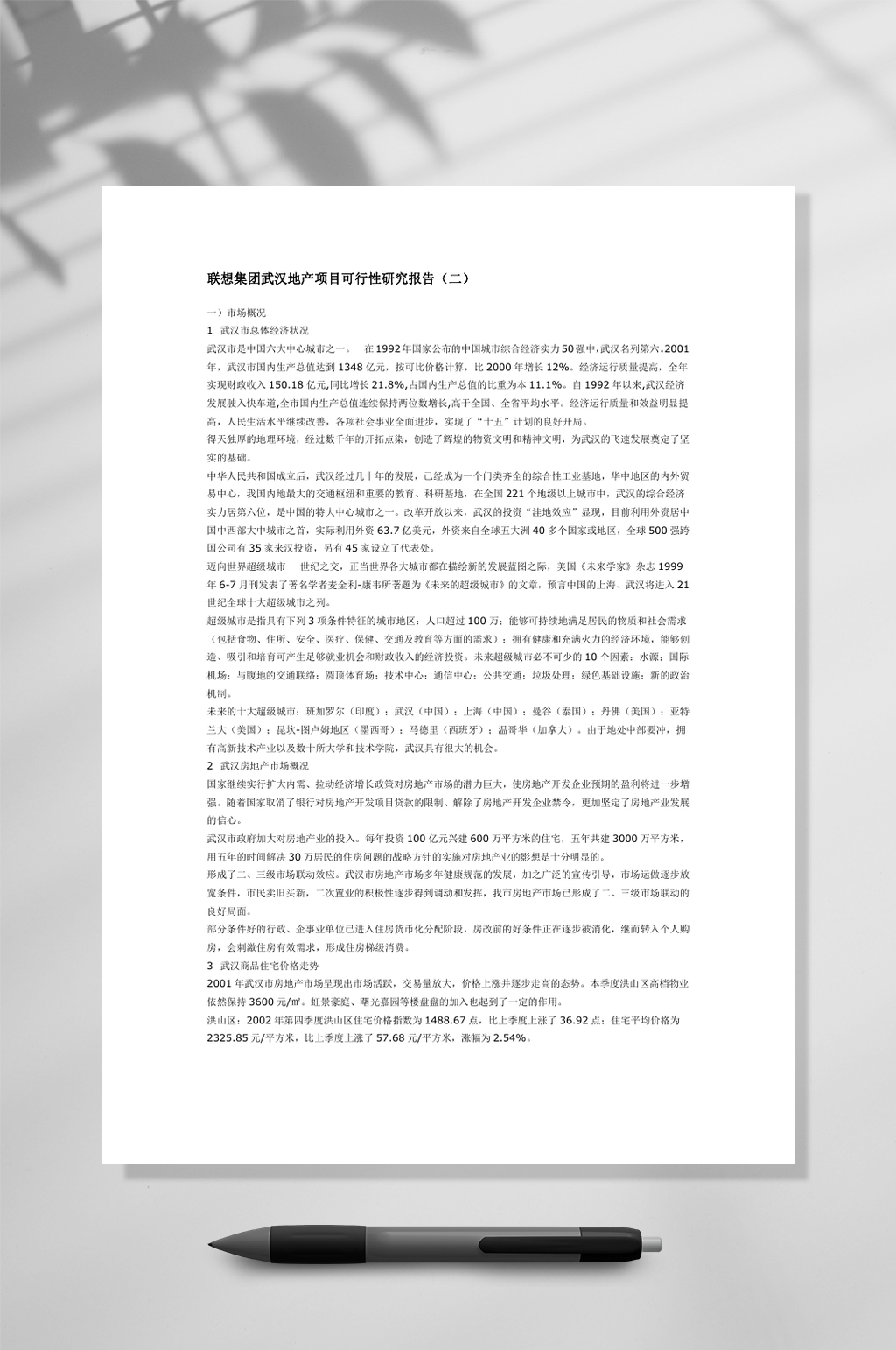 武汉项目可行性研究WORD素材