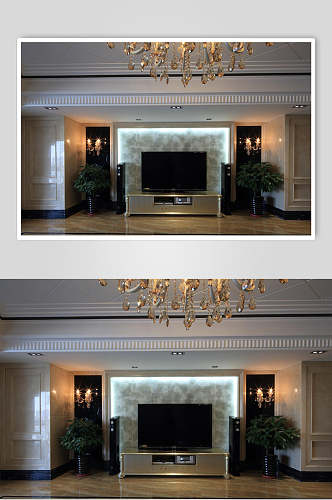 吊灯植物电视高端创意客厅设计图片