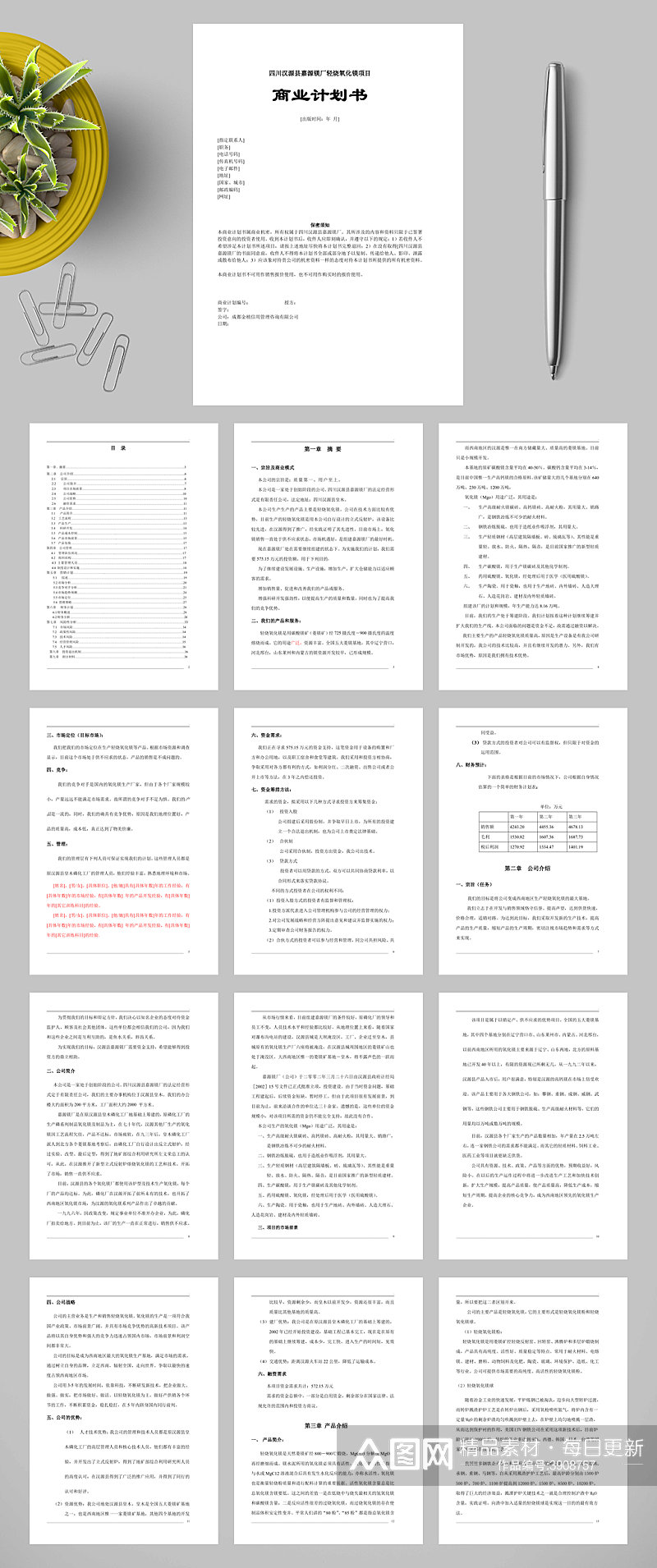 嘉源镁厂轻烧氧化镁项目商业计划书WORD素材