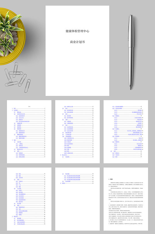 XX健康体检管理中心商业计划书WORD
