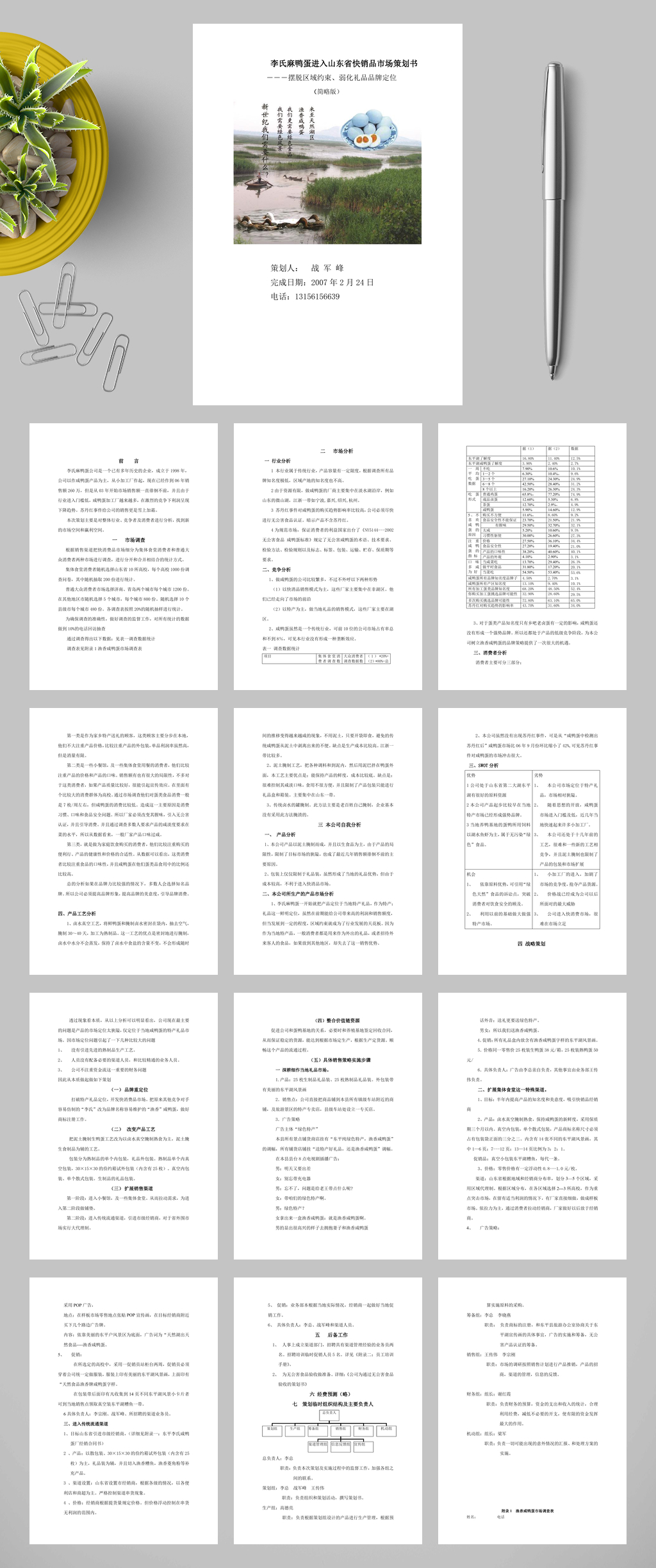 李氏麻鸭蛋进入山东快消品市场策划书WORD素材