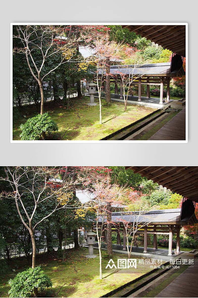 绿植日式庭院图片素材