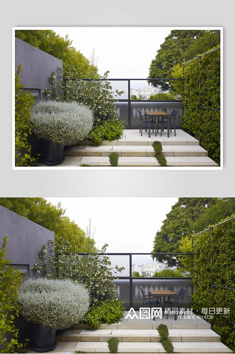 绿植灰墙私家庭院图片素材