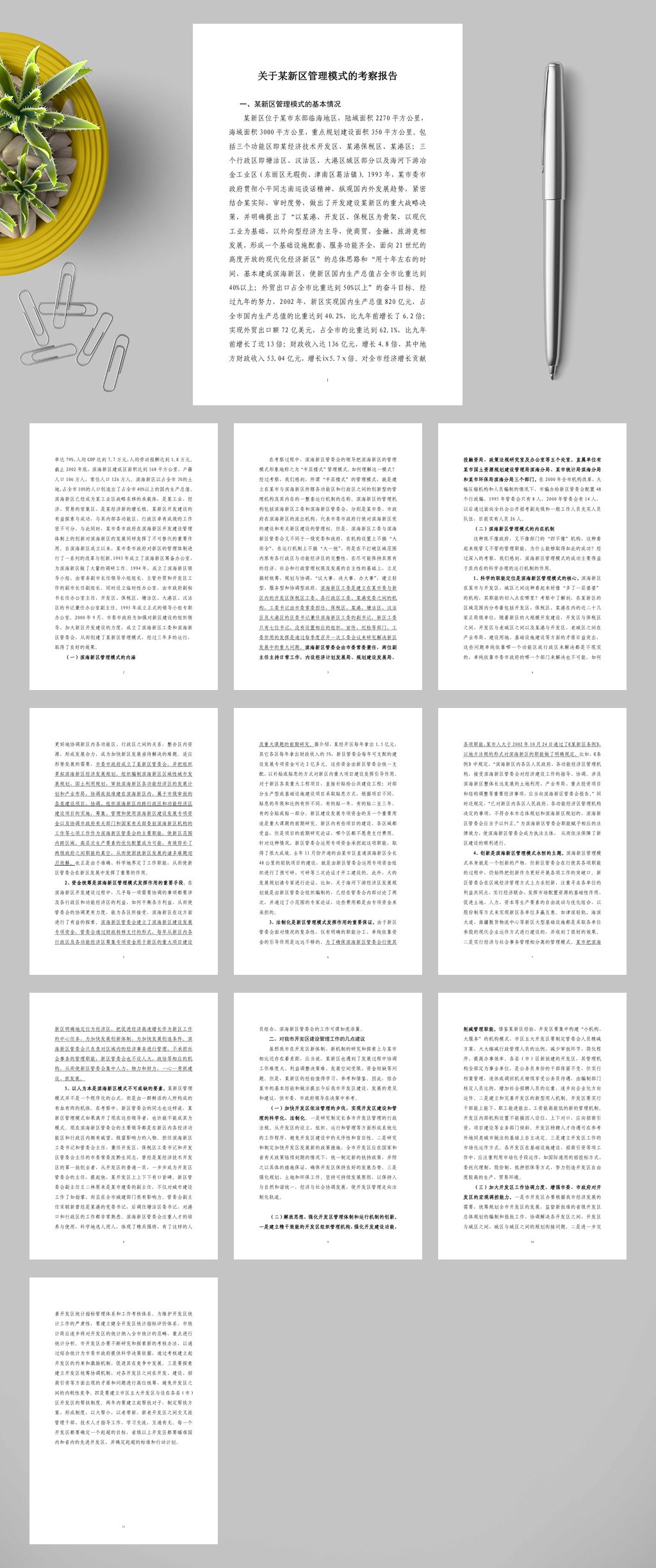 关于某新区管理模式的考察报告WORD素材