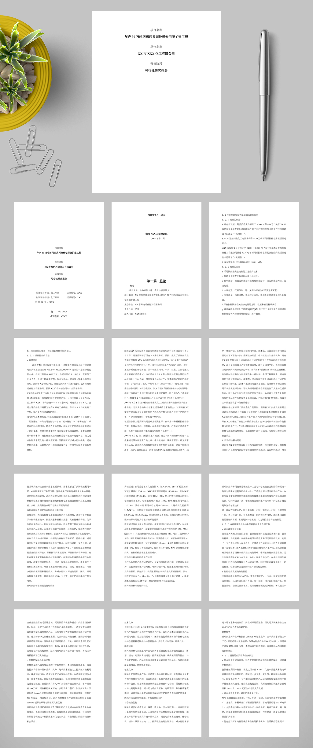 XX复合肥项目可行性研究报告WORD素材