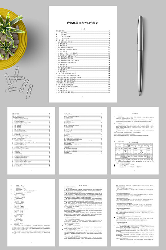 成都奥园可行性研究报告docWORD