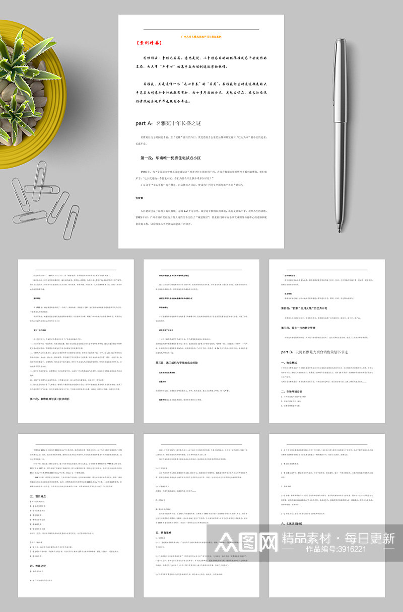 广州天河名雅苑房地产项目策划案例WORD素材