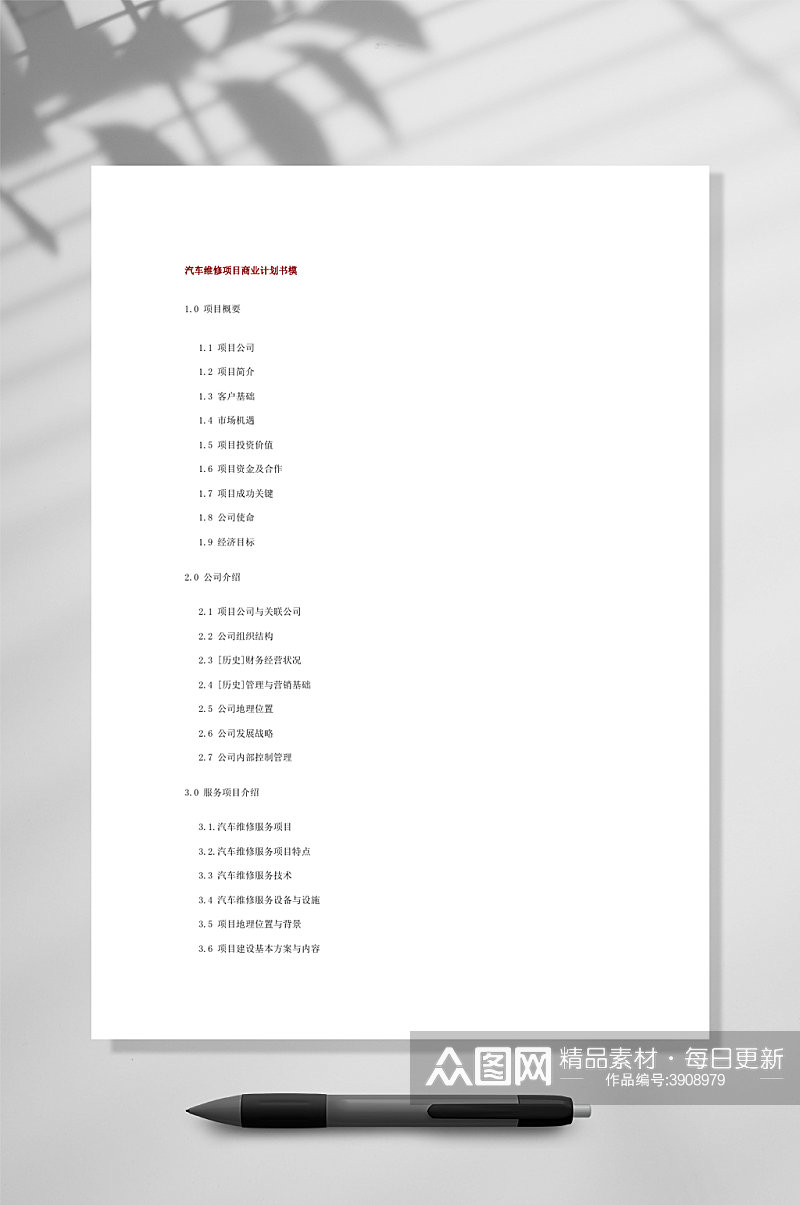 简约汽车维修项目商业计划书模WORD素材