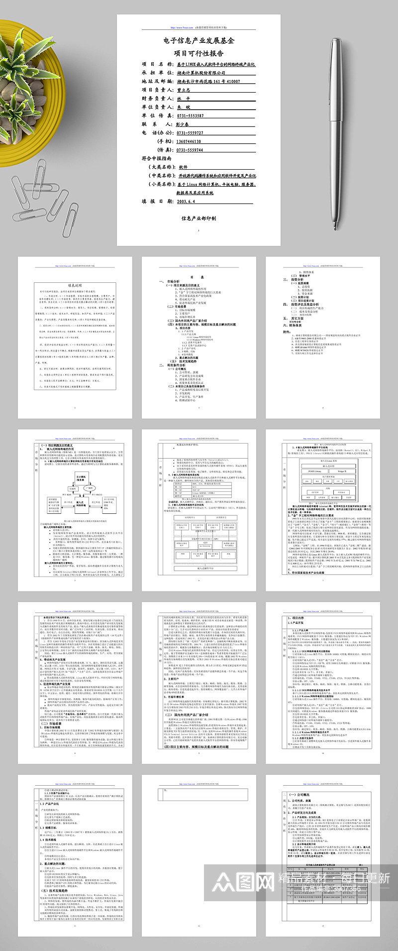 电子信息产业发展基金项目可行性报告WORD素材