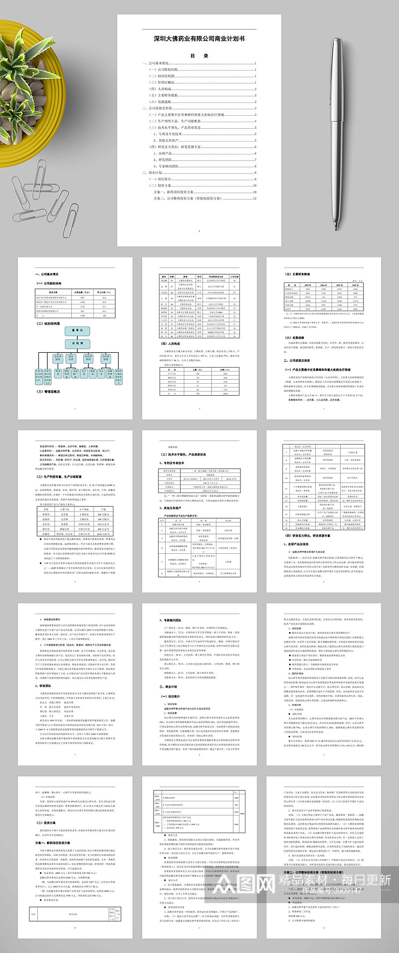 深圳大佛药业有限公司商业计划书WORD素材