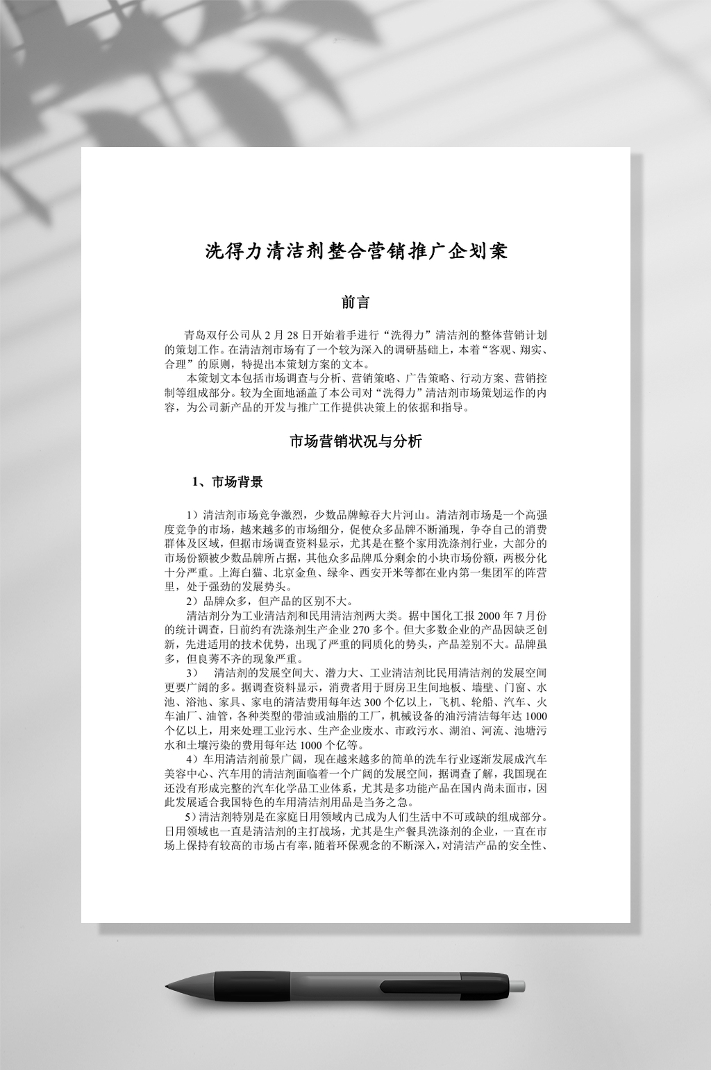 XXX清洁剂整合营销推广企划案WORD素材
