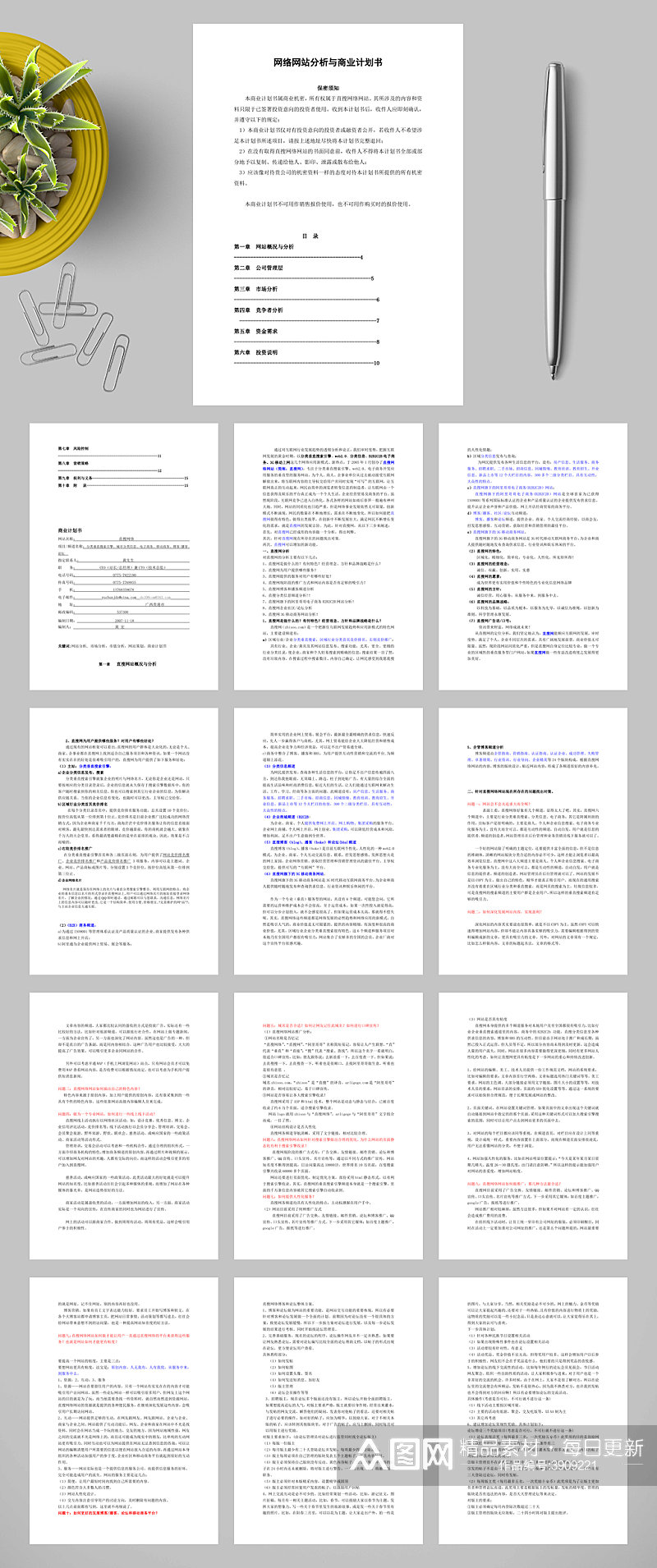 网络网站分析与商业计划书WORD素材