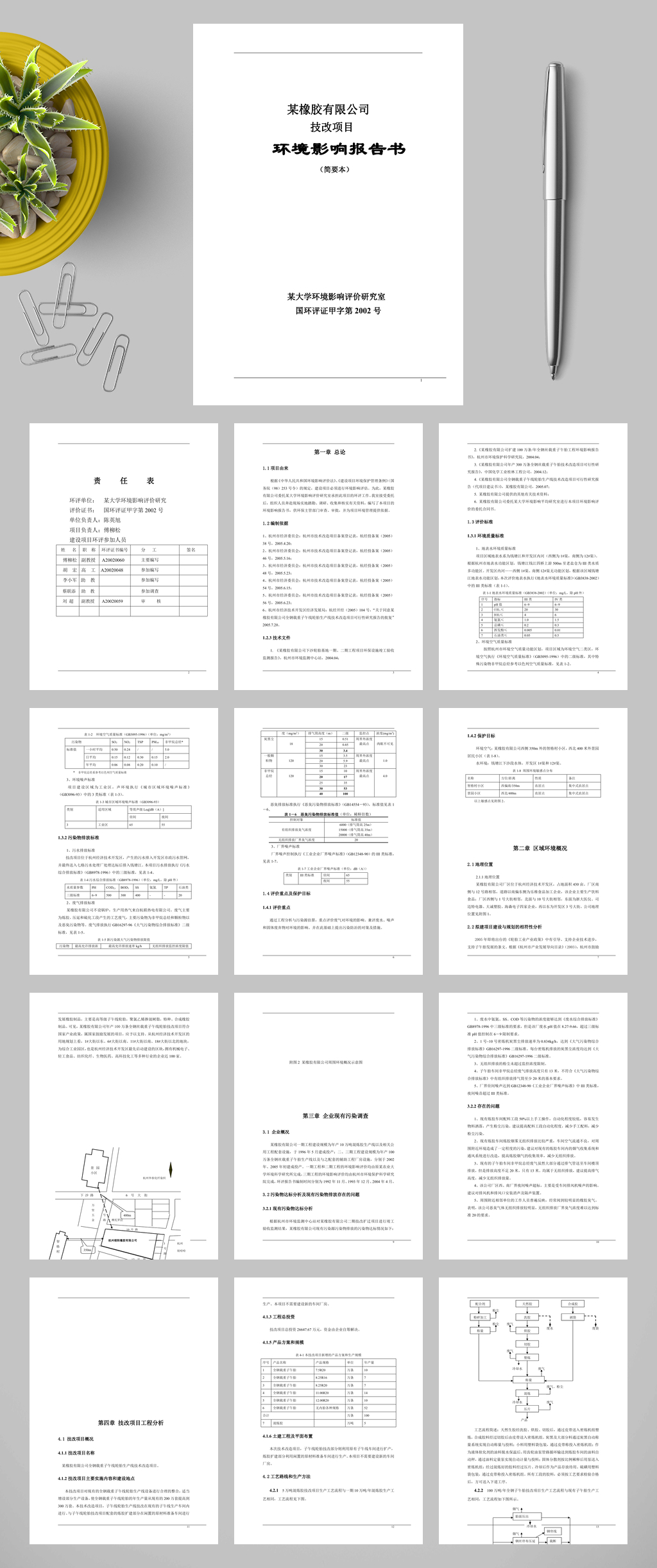 某橡胶有限公司技改项目WORD素材
