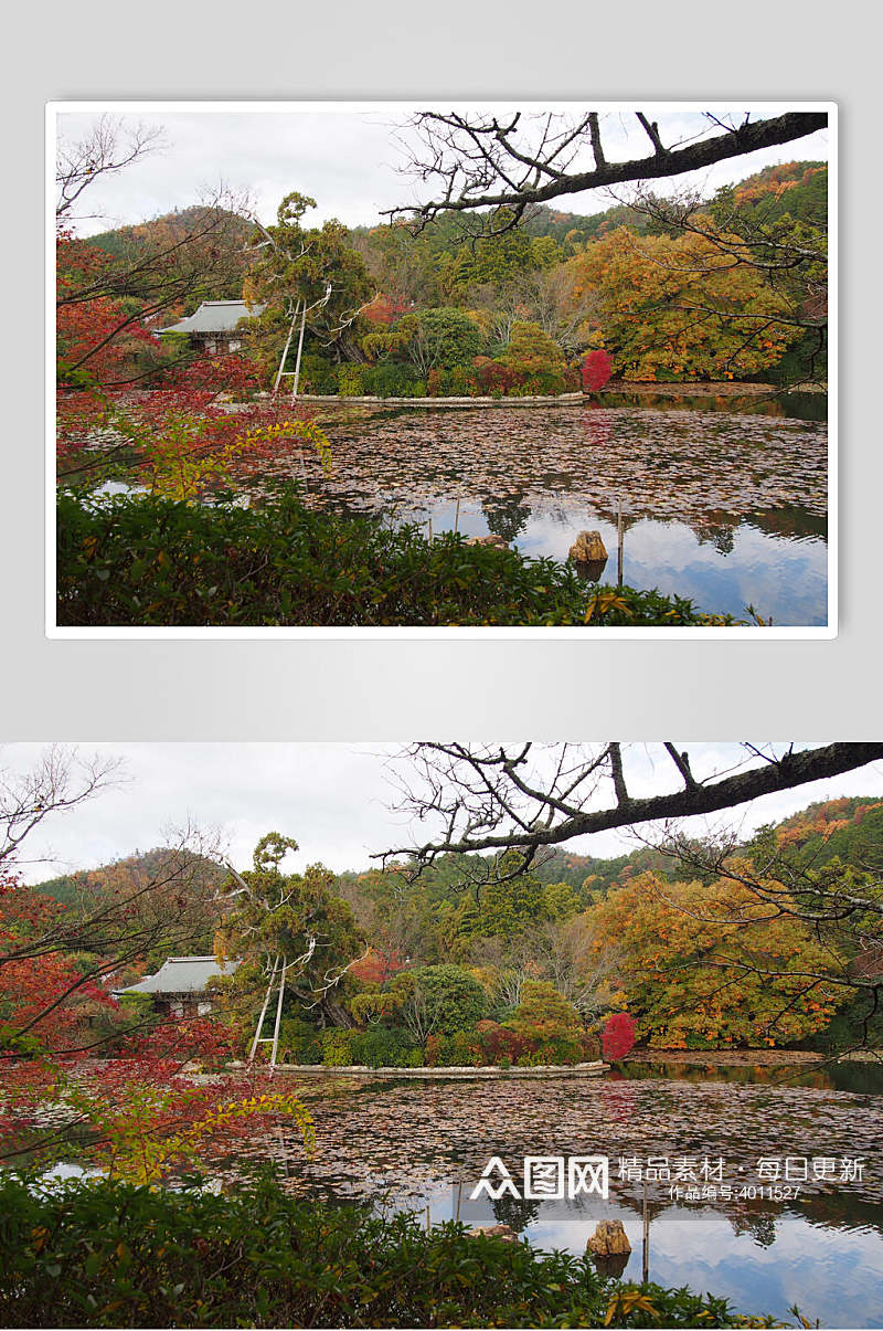 小清新绿树日式庭院图片素材