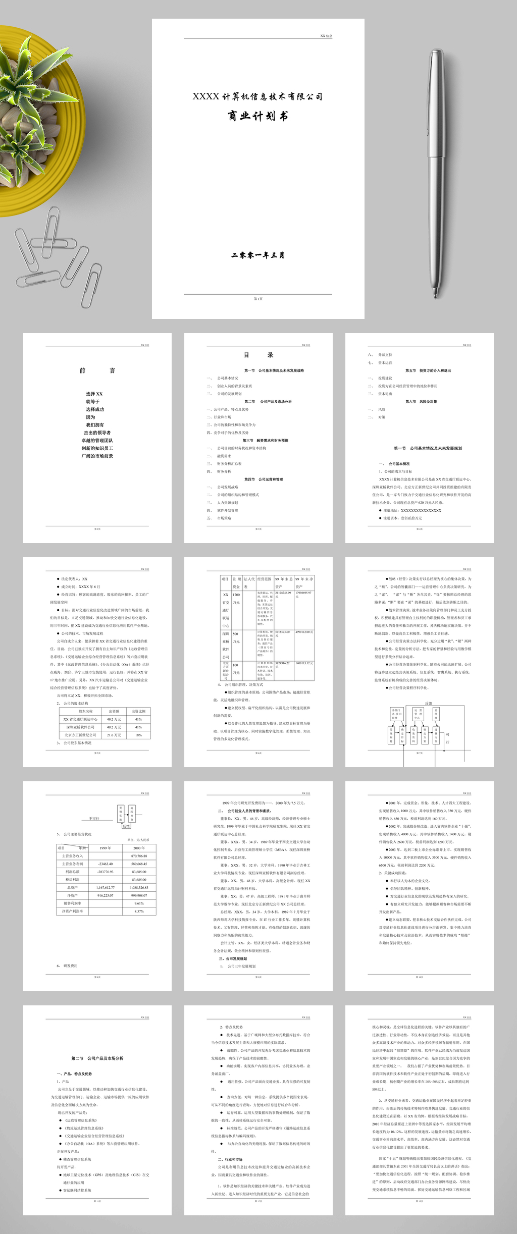 XXXX计算机信息技术有限公司商业计划书WORD素材