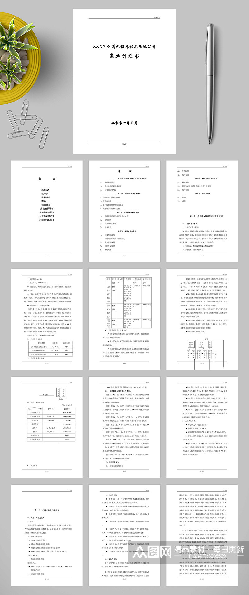 XXXX计算机信息技术有限公司商业计划书WORD素材