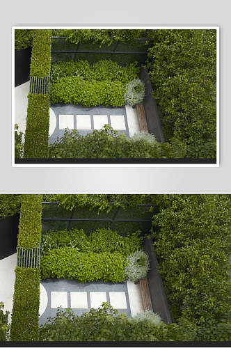 绿色花园私家庭院图片