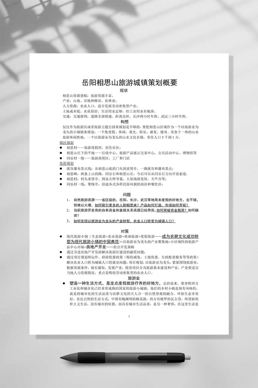 岳阳相思山旅游城镇策划概要WORD素材