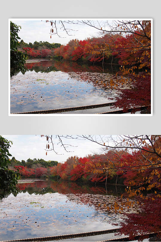 河水红色渐变创意高端日式庭院图片