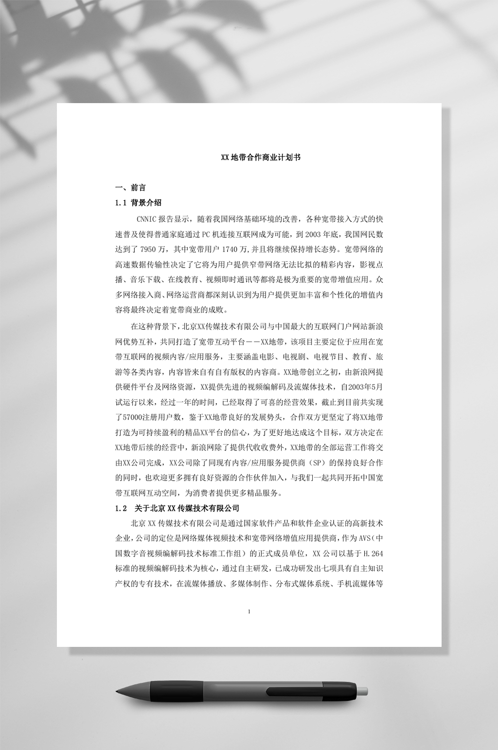 XX地带合作商业计划书WORD素材
