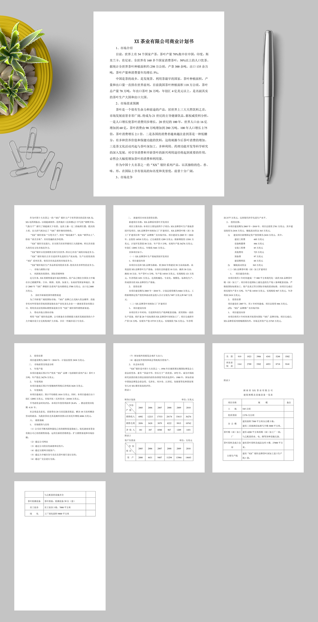 某茶业有限公司商业计划书WORD素材