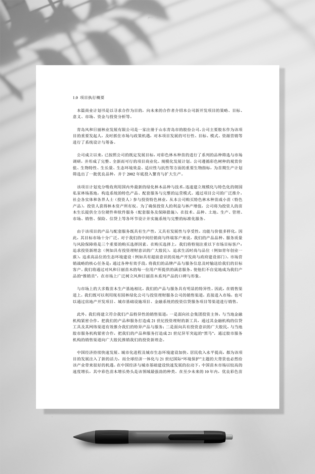 商业计划书范文朗园私家林场发展项目WORD素材