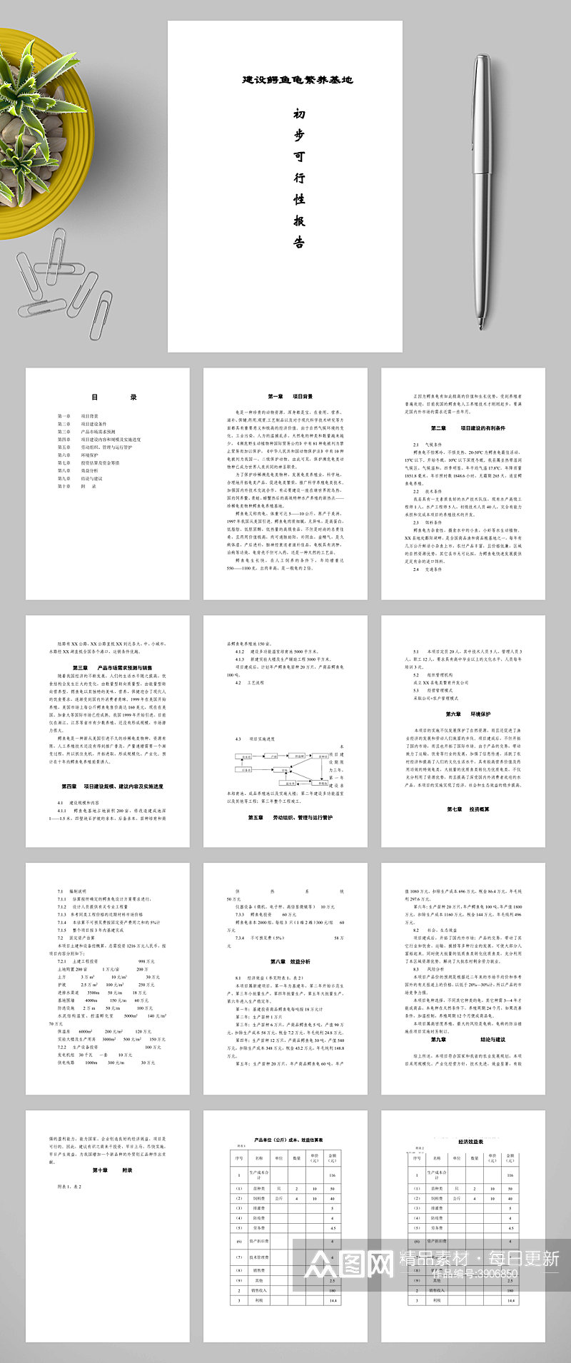 建设鳄鱼龟繁养基地初步性可行性报告WORD素材