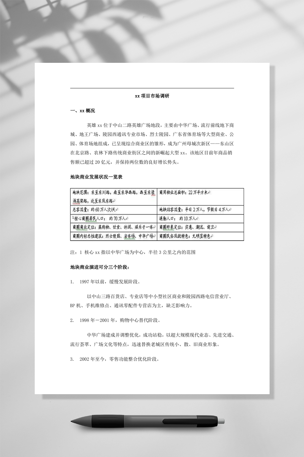 某某项目市场调研一WORD素材