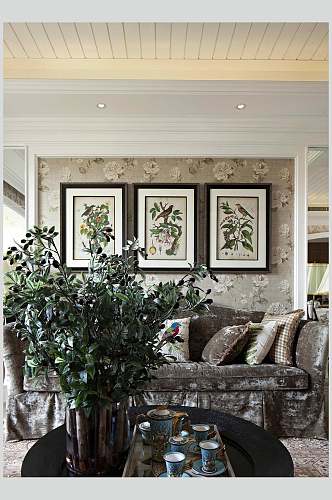 植物沙发创意欧式简欧两居室图片