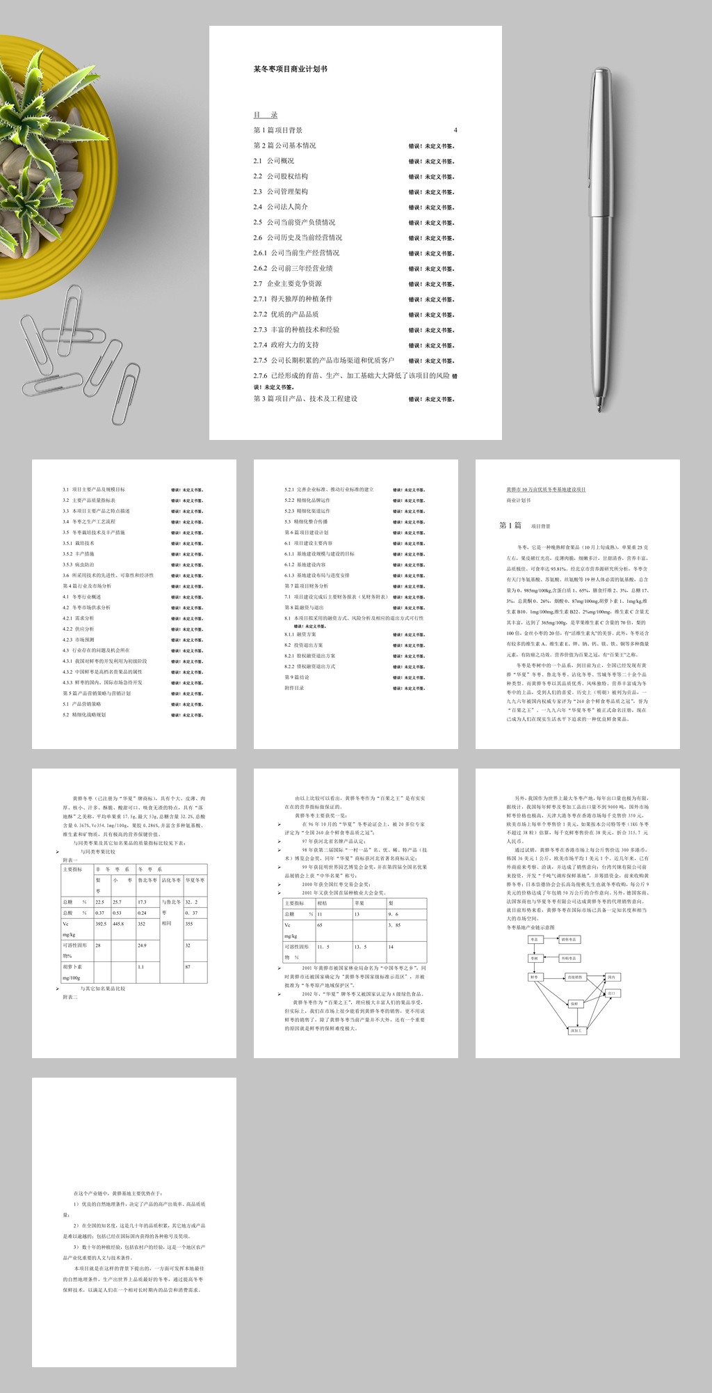 某冬枣项目商业计划书WORD素材