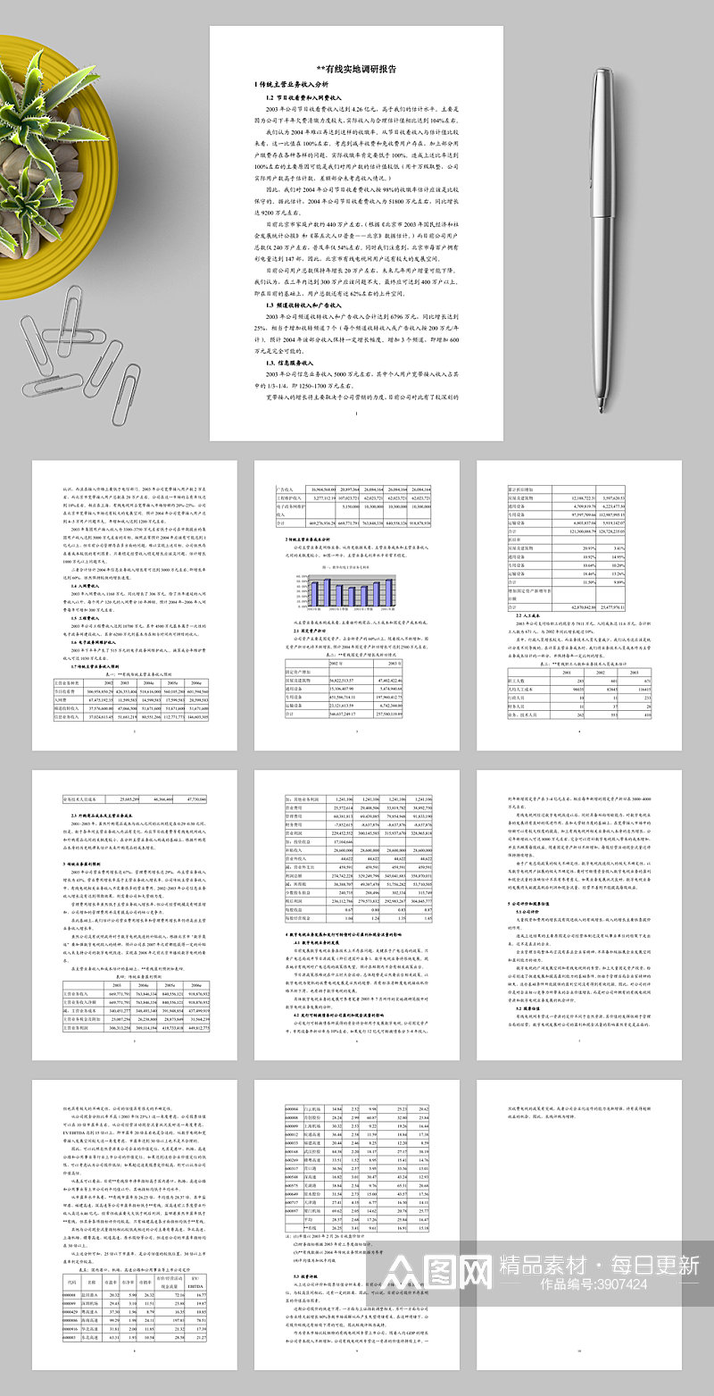 某有线实地调研报告WORD素材