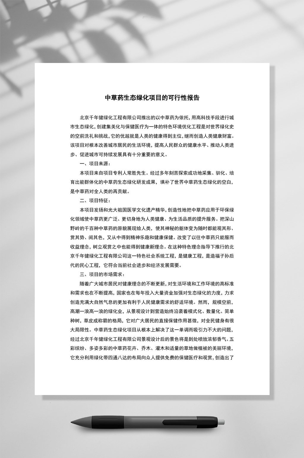 中草药生态绿化项目的可行性报告WORD素材