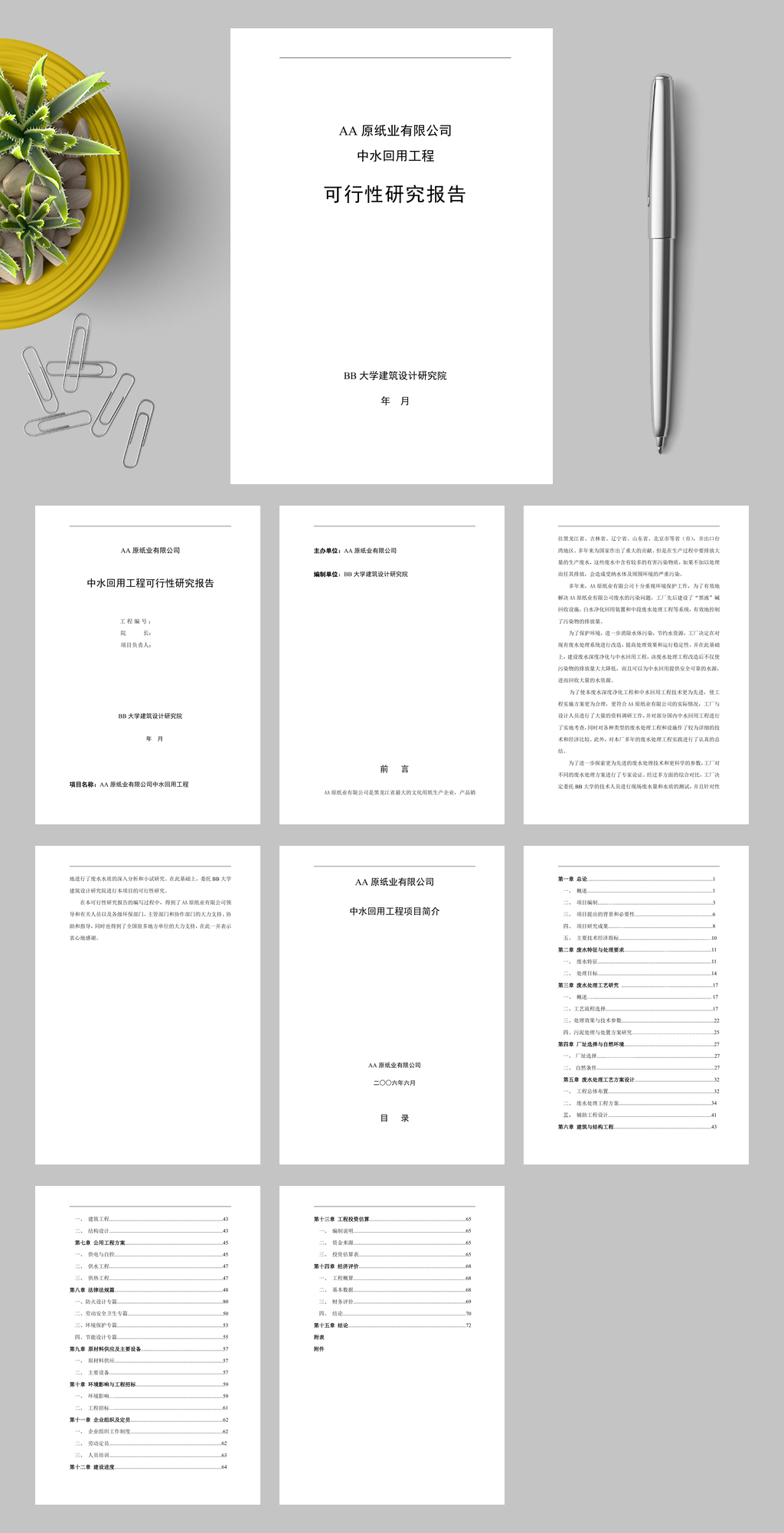 AA纸业有限公司中水可研封面WORD素材