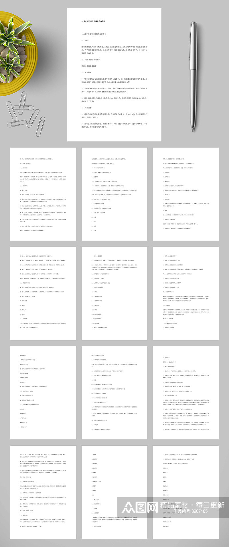 xx地产项目可行性报告内容指引WORD素材