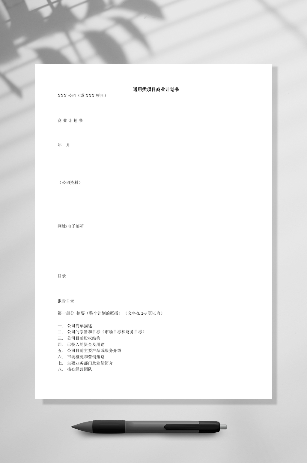 通用类项目商业计划书模板WORD素材