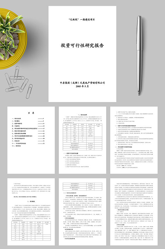 文殊院一期建設(shè)項(xiàng)目投資可行性研究報(bào)告docWORD