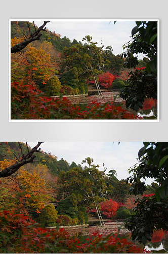 创意大气枫叶日式庭院图片