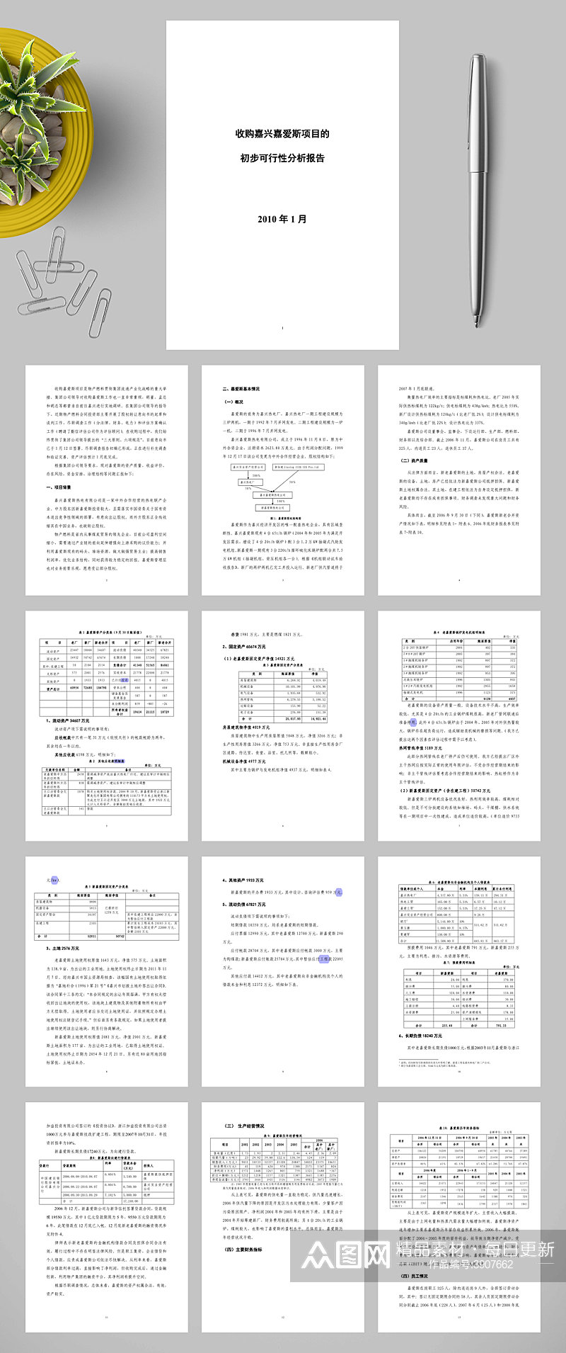 斯热电有限公司初步可行性分析报告WORD素材