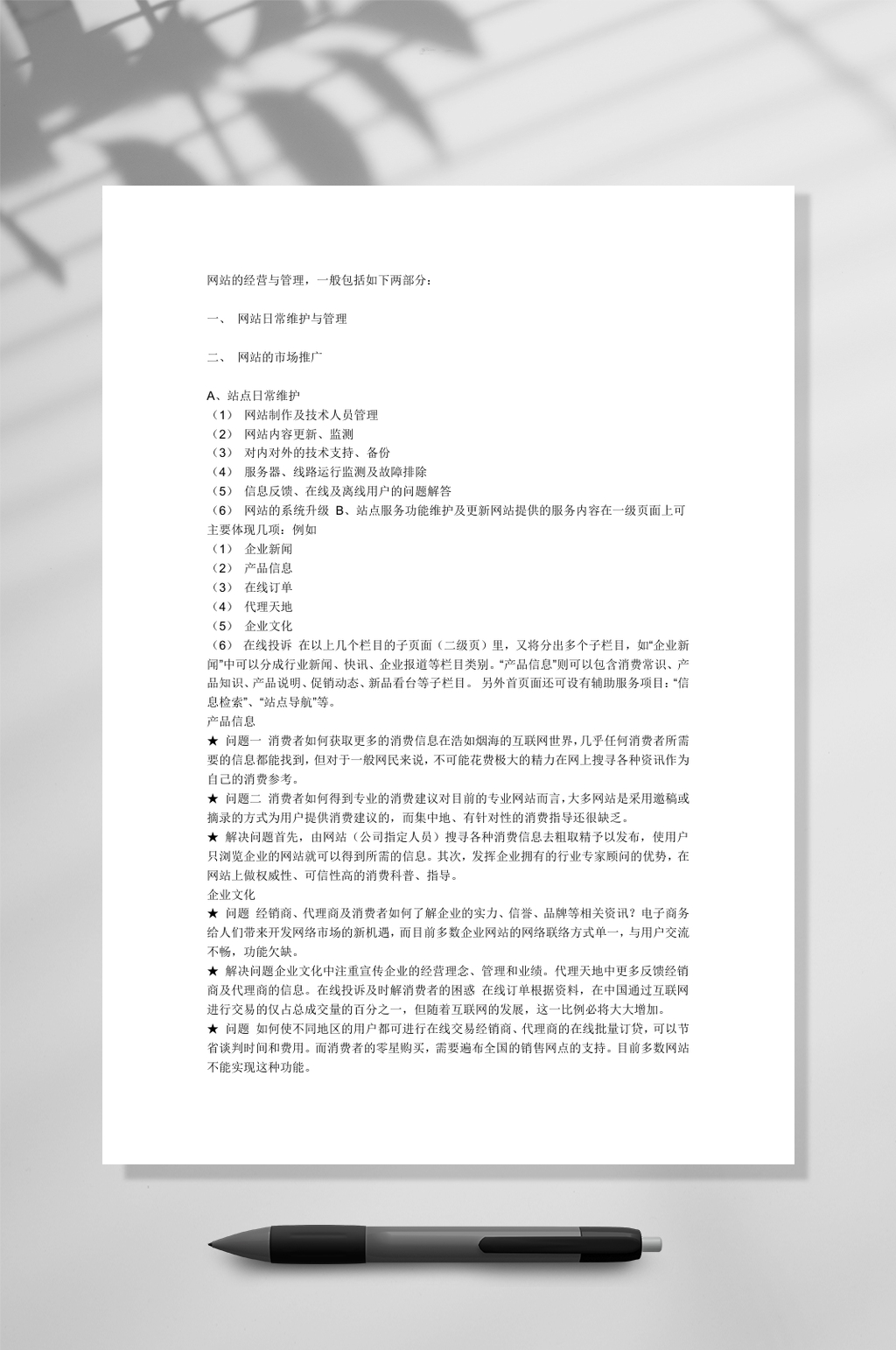 网站的管理和维护WORD素材