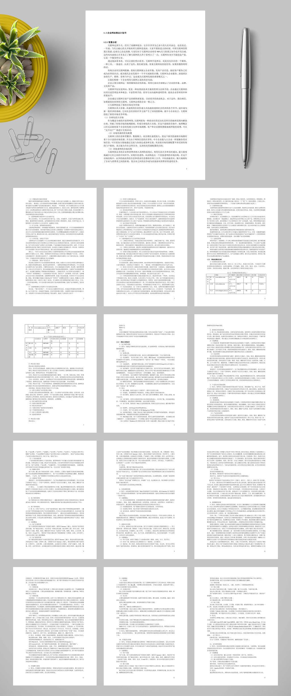 企业互联网站商业计划书WORD素材