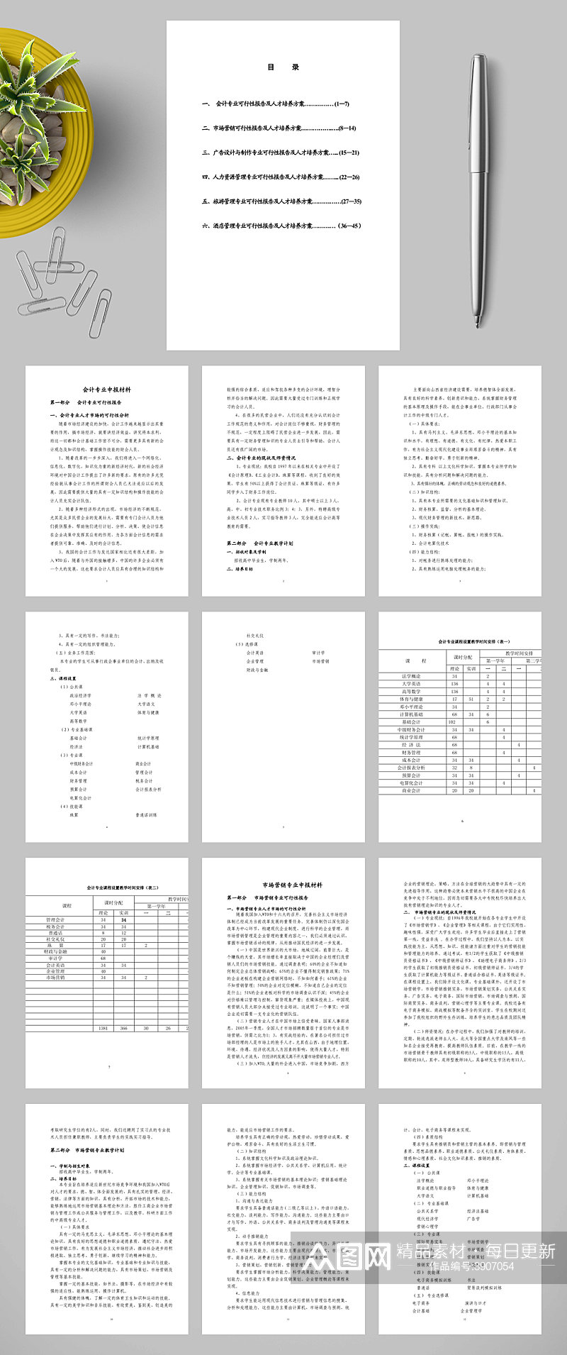 简约会计专业可行性报告WORD素材